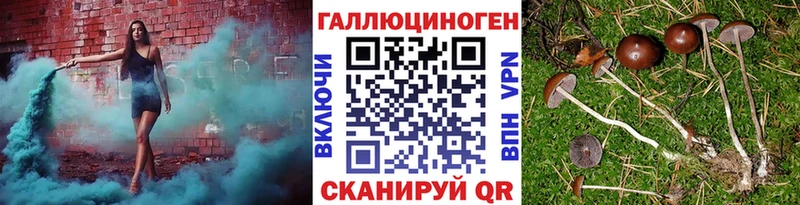 Галлюциногенные грибы мицелий  Купить  Жуковка 